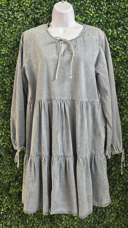Puff LS Denim Dress